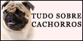 Banner - Tudo sobre Cachorros